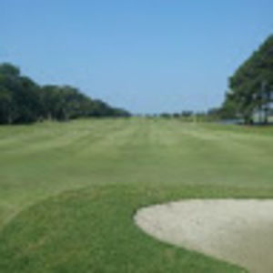 Meet your Posher, Joey